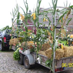 Gartenbau Schulz in Zehdenick OT Bergsdorf - Bildergalerie