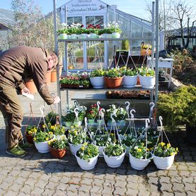 Gartenbau Schulz in Zehdenick OT Bergsdorf - Bildergalerie