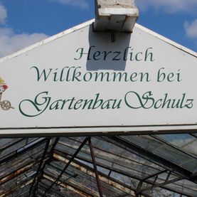 Gartenbau Schulz in Zehdenick OT Bergsdorf - Bildergalerie