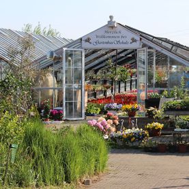 Gartenbau Schulz in Zehdenick OT Bergsdorf - Bildergalerie